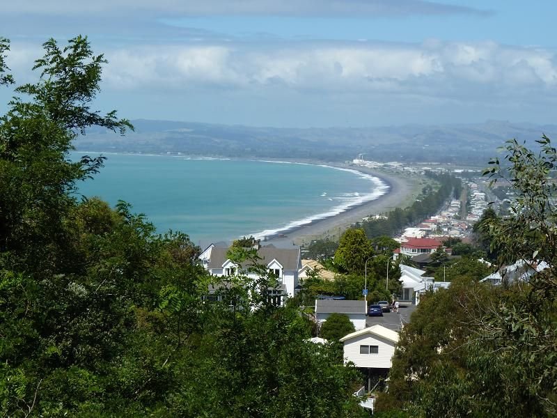 Napier